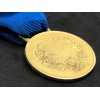 Medaille für militärische Tapferkeit RSI (Gold)