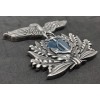 Mützenabzeichen - RSI Marine (Einschiffen)