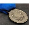 Medal for military valor of the Reign (Bronze)