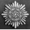 Ostvolk Medal 1st Class - With Swords (Silver)