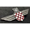 Croatian Air Force Legion Badge