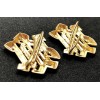 Insignia - SS Leibstandarte Adolf Hitler (Gold) (pair)