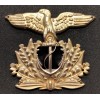 Hat Badge - RSI Navy (Generic)