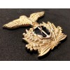 Mützenabzeichen - RSI Marine (Allgemein)