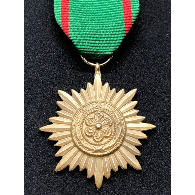 Medaglia Ostvolk di Seconda Classe (Oro)