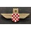 Croatian Air Force Legion Badge