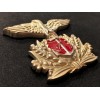 Hat Badge - RSI Navy (Marine Infantry)