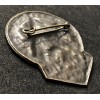 Leipzig 1934 SA Rally Badge