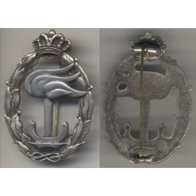 RR.AA. maritime recognition Badge (Silver)