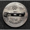 Deutsche Jungvolk Pin Badge