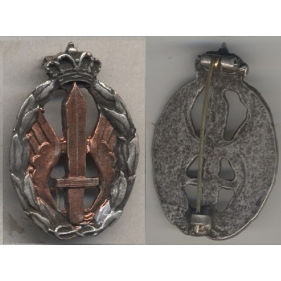 Distintivo Regia Aeronautica per azioni di guerra, assalto e combattimento (Bronzo)