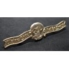 Gala SS Badge (Gold)