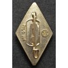 Distintivo d'Onore della HitlerJugend