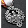 Medal Blaue Division