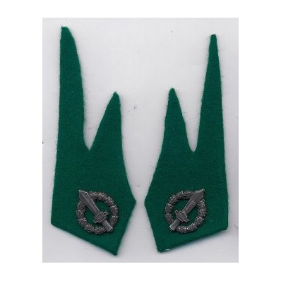 Cloth Insignia - RSI