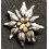 Gebirgsjäger Officers Edelweiss for Cap