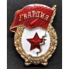 Red Square Soviet Youth Guard Badge