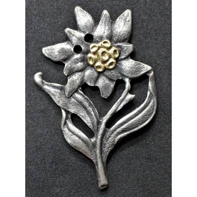 Edelweiss