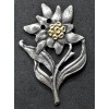 Edelweiss