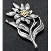 Edelweiss