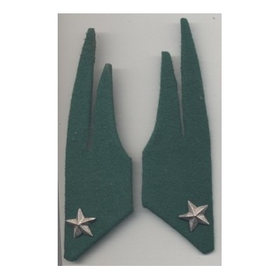 Cloth Insignia - Alpine