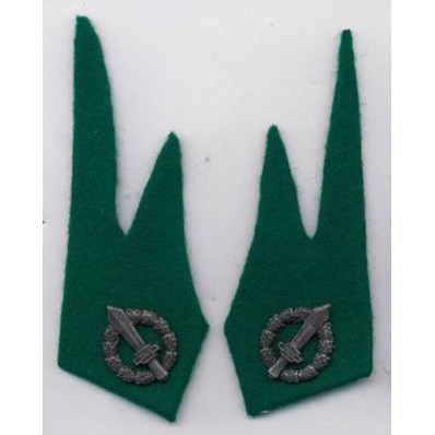 Cloth Insignia - Alpine 1940-1945