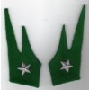 Cloth Insignia - Alpine