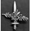 Prototype of the Badge for the Euroforce