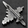 Prototyp des Abzeichens für die Euroforce