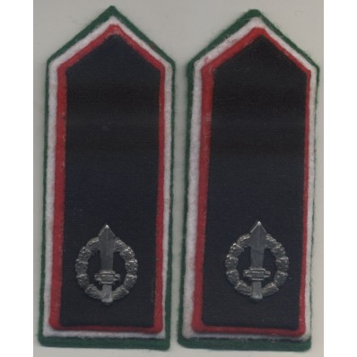 Cloth Insignia - Volunteers of the Mutilated Battalion