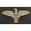 Aquila da Petto degli Irredentisti