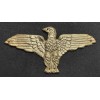 Aquila da Petto degli Irredentisti