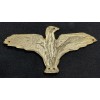 Chested Eagle of the Irredentists