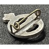 MAS Pilot Badge