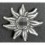 Edelweiss of the SA or SS mountain troops