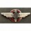 DLV (Deutsches Luft Verband) Pilot Hat Badge