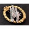 Fallschirmjäger Abzeichen