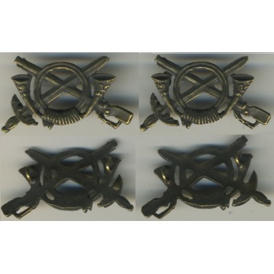 Insignia Badges