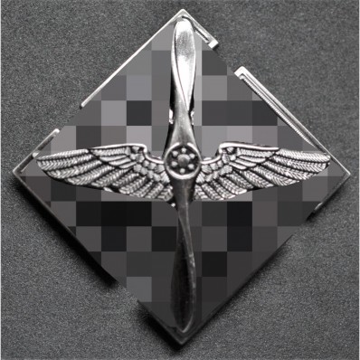 SA/SS/DLV Flieger Pilot's Badge