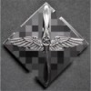 SA/SS/DLV Flieger Pilot's Badge
