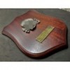 Wappenschild - NSDAP Preis