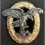 Distintivo Di Osservatore (Oro)