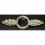 Frontflugspange Für Aufklärer (Gold)