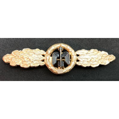 Short Range Day Fighter Clasp (Gold)
