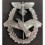 NSFK Powered Aircraft Pilots Badge (3rd Type)