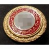 Goldenes Parteiabzeichen