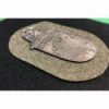 "Lappland" Battle Shield
