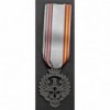 Medal Blaue Division