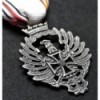 Medal Blaue Division