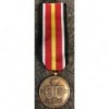 Medaglia Blau Division (Truppa)